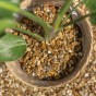 10mm Golden Decorative Garden Gravel Approx. 25kg - By Jamieson Brothers® 