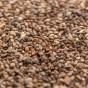 Horticultural Potting Grit 25kg Bag – Ideal Garden Grit for Potting, Alpines & Drainage | Alpine Grit, Potting Grit by Jamieson Brothers