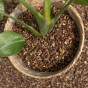 Horticultural Potting Grit 25kg Bag – Ideal Garden Grit for Potting, Alpines & Drainage | Alpine Grit, Potting Grit by Jamieson Brothers