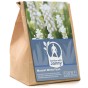 Garden with Jonny Muscari White Pearl 20 Bulbs