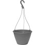 Hanging Baskets 3 Growing Basket Kit with Beautiful Baskets Seeds by Jamieson Brothers