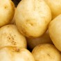 Harmony Seed Potatoes - 2KG