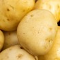Home Guard Seed Potatoes - 2KG