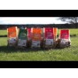 Seed Potato Bundles Available In 3-Pack or 6-Pack Bundles