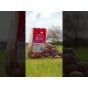 Rocket Seed Potatoes, the fastest First Early growing in just 10 weeks