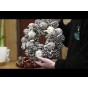 Jamieson Brothers Christmas Wreath unboxing