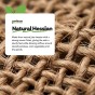 84x50cm Hessian Sack Large Strong Sturdy for Potato Storage, 25kg Jute Burlap Natural Durable by Jamieson Brothers