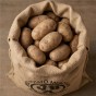 84x50cm Hessian Sack Large Strong Sturdy for Potato Storage, 25kg Jute Burlap Natural Durable by Jamieson Brothers