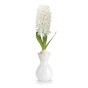 Hyacinth Bulb in White Vase (1 bulb) - Gift Box