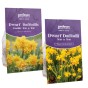 Tete a Tete and Double Tete a Tete (170 Bulbs) Dwarf Daffodil Bulbs Mixed Super Pack - Dwarf Daffodils by Jamieson Brothers