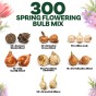 Spring Flower Bulb Collection - 300 Autumn Planting Bulbs - Tulips, Crocus, Alliums, Iris, Anemones & Puschkinia