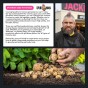 SpudMan Melody 2kg (Approx. 20-25) Seed Potatoes, Ideal for Baked Potatoes, Grows Approx. 200 Baking Potatoes