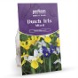 Dutch Iris Mixed Bulbs (25 bulbs) by Jamieson Brothers 