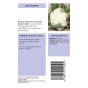 Cauliflower Autumn Giant Vegetable Seeds (Approx. 90 seeds) by Jamieson Brothers