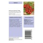 Tomato Seeds Bundle - 4 varieties by Jamieson Brothers®