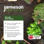 Peat Free Bulb Planting Compost with added John Innes 60L Professional Blend by Jamieson Brothers