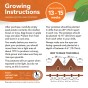 Jamieson Brothers® Purple Eyed Seedling - 8 tuber pack
