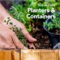 Mature Plant Compost with John Innes No.3 Added 35L bag - By Jamieson Brothers
