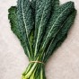Kale Nero (Black Tuscan) – 1g Italian Cavolo Nero Seeds for Nutritious Leafy Greens
