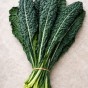 Super Greens & Leafy Harvest Bundle 5 Pack Vegetable Seed Collection (Lettuce Mesclun Mix, Swiss Chard Rainbow Mix, Lettuce Parris Island Cos, Pak Choi White Stem, Kale Black Tuscan)