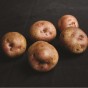Kerrs Pink Seed Potatoes - 2KG