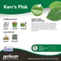 Kerrs Pink Seed Potatoes