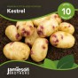 Jamieson Brothers® Kestrel - 10 tuber pack