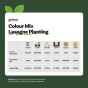 Multi-Colour Spring Flowering Lasagne Bulb Planting Kit - Layered Perennial Flower Bulbs for Garden Pots & Containers, Mixed Tulips, Crocus & Alliums – by Jamieson Brothers