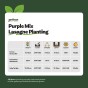 Purple Spring Flowering Lasagne Bulb Planting Kit - Layered Perennial Flower Bulbs for Garden Pots & Containers, Mixed Crocus, Hyacinths & Alliums – by Jamieson Brothers