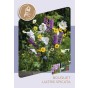 Liatris Spicata (15 Bulbs) and Wildflower 'Butterfly' Mix Seeds Grow your own Bouquet by Jamieson Brothers