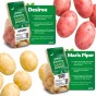 Seed Potato Bundle – 6 Varieties, 12kg Total (Red Duke of York, Rocket, Charlotte, Wilja, Desiree & Maris Piper) – First Early, Second Early & Maincrop Potatoes for a Full Season Harvest