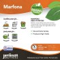 Marfona Seed Potatoes - 20KG