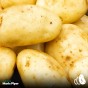 6kg Seed Potato Bundle (Charlotte, Maris Piper & Red Duke of York) Easy to Grow & High Yielding Varieties Perfect for All Uses