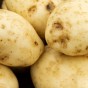 Maris Bard Seed Potatoes - 2KG