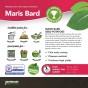 Maris Bard Seed Potatoes - 2KG