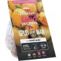 SpudMan 6 Maris Bard Summer Planting Seed Potatoes, Grows Approx. 30 Boiling Potatoes
