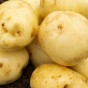 Maris Peer 2Kg Summer Planting Seed Potatoes  by Jamieson Brothers