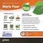 Jamieson Brothers® Maris Peer - 10 tuber pack