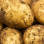 Maris Piper Seed Potatoes - 20KG
