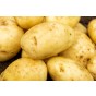 Maris Piper Seed Potatoes