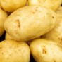 Maris Piper Seed Potatoes - 2KG