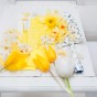150 Freshly Cut Mixed Orange & Yellow Daffodils - Ready to Bloom | Perfect for Home Décor, Indoor Displays & Easter Gifts UK