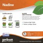 Nadine Seed Potatoes - 20KG