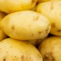 Nicola Seed Potatoes - 20KG