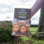 Radar Winter Onion sets (250gm) by Jamieson Brothers - Bulb Size 14/21