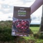 Red Winter Onion Sets (250gm) by Jamieson Brothers® - Bulb Size 14/21
