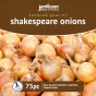 Jamieson Brothers Shakespeare Winter Onion sets - 75pcs Bulb Size 14/21