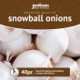 Jamieson Brothers® Snowball Winter Onion sets - 40pcs Bulb Size 14/21