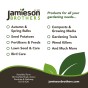 Jamieson Brothers® Bamberger Long Onion Sets - 30 pack