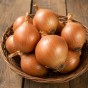 Autumn Champion Onion 250g Autumn Planting Onion Sets